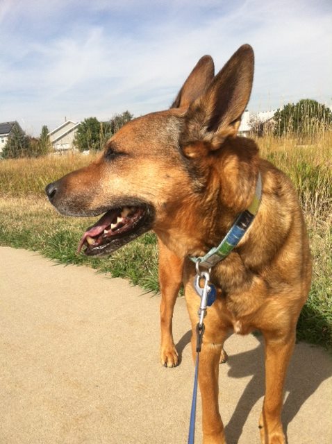 Ovedrnight Stay in your home