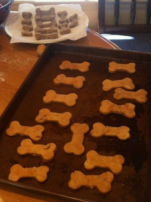 Indigo Pet Sitters. Profesional Pet Sitter. Professional Dog walker. Cat sitter.